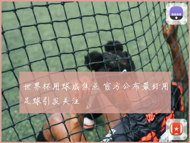 世界杯用球成焦点 官方公布最好用足球引发关注
