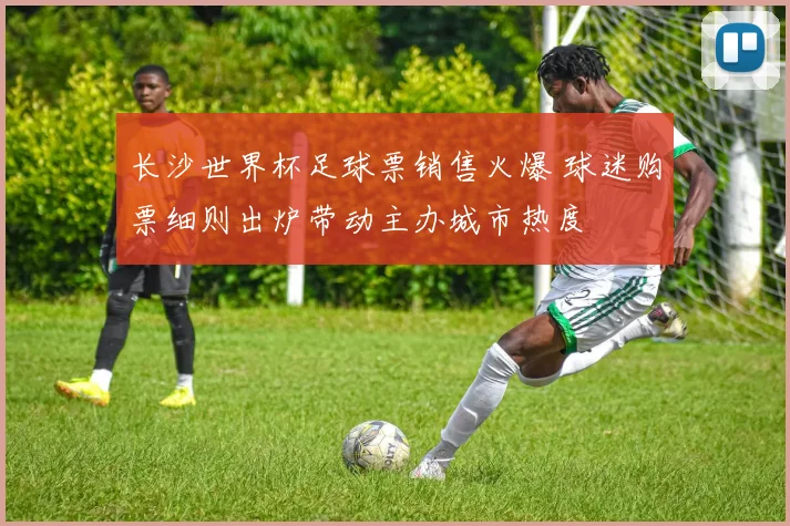 长沙世界杯足球票销售火爆 球迷购票细则出炉带动主办城市热度