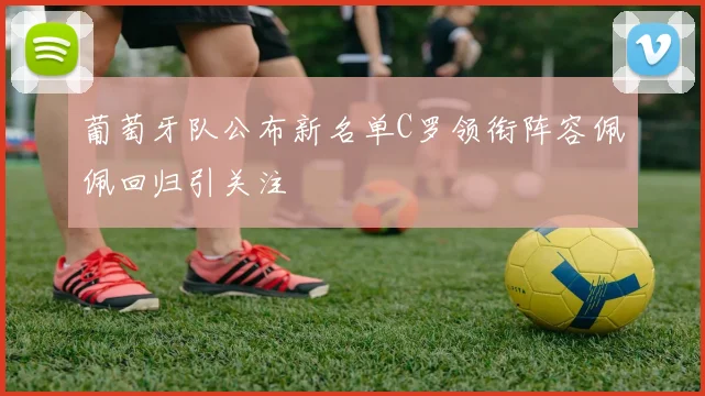 葡萄牙队公布新名单C罗领衔阵容佩佩回归引关注