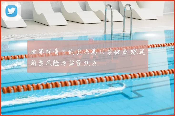 世界杯黄牛倒卖决赛门票被查 球迷购票风险与监管焦点
