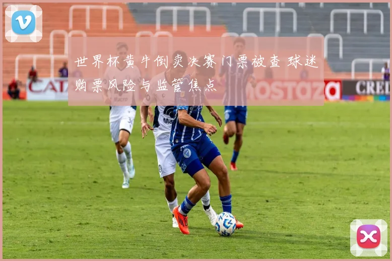 世界杯黄牛倒卖决赛门票被查 球迷购票风险与监管焦点