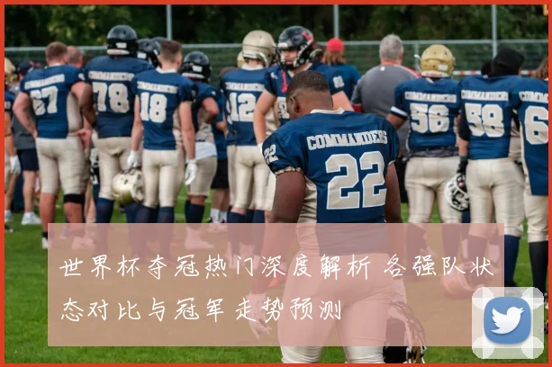 世界杯夺冠热门深度解析 各强队状态对比与冠军走势预测